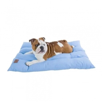 Almofada Tutelo Azul Pacífico P