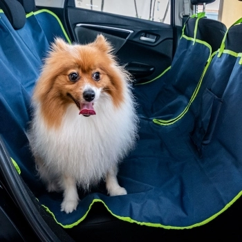 Capa para Carro Tutelo