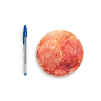 Petisco Natural Frisbee Mastig 1 Unidade