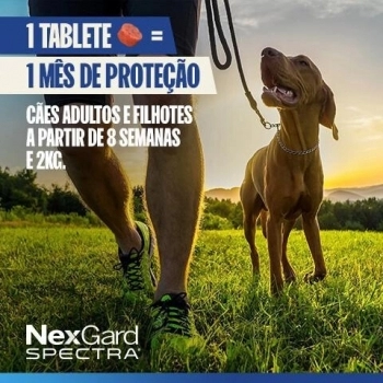 Antipulgas e Vermífugo NexGard Spectra G Cães 15,1kg a 30kg - 1 tablete
