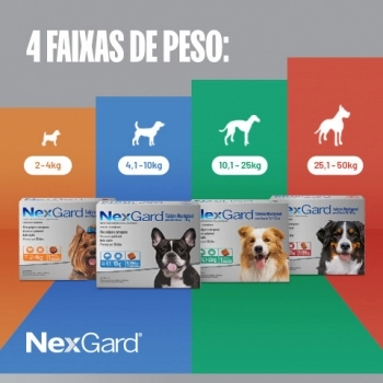 Antipulgas e Carrapatos NexGard para Cães de 10,1 a 25kg 3 tabletes