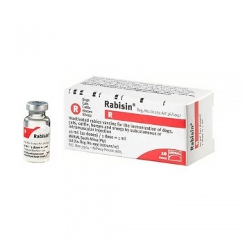 Vacina RABISIN INJVI/ 10/1DS