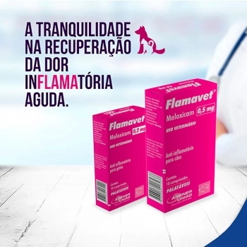 Anti-inflamatório Agener União Flamavet 2mg para Cães 10 Comprimidos